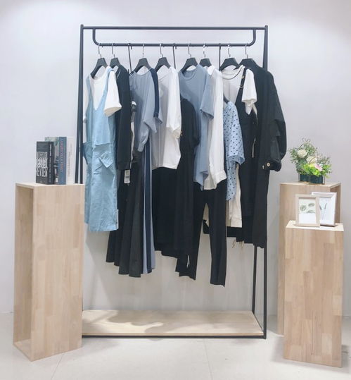 復(fù)古風(fēng)尚，精品庫存女裝連衣裙尾貨批發(fā)指南