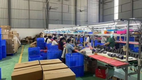 點贊！化州這個鎮“微工廠”遍地開花，留守婦女掙錢顧家兩不誤