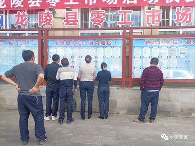 龍陵 多維度促進就業創業，高質量托穩民生幸?！殬I中介服務的核心角色與創新實踐